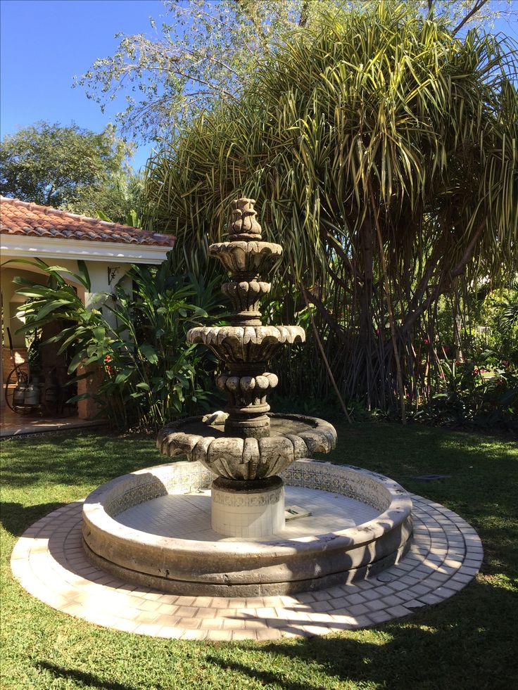 Fuente Piedra Arboles Encanto Natural Diseno Patios Jardines